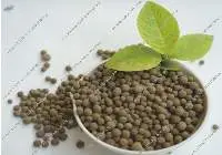 Guano Phosphate