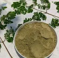 Moringa Oleifera Leaves And Powder