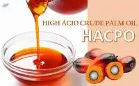 High Acid Crude Palm Oil HACPO