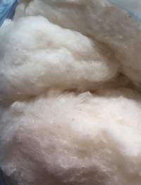 100 Cotton Giza Cotton Supima Cotton Fabrics Manufacturers Suppliers Wholesalers And Exporters Go4worldbusiness Com Page 1