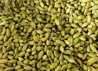 Cardamom