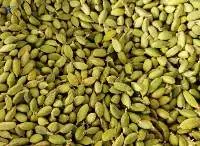 Cardamom