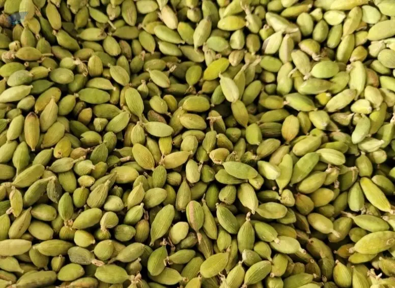 Cardamom