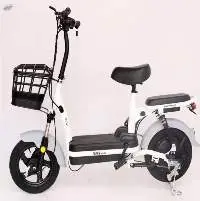 48V Lead Acid Batteries Electric Bicycle