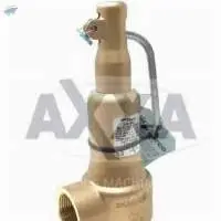 Safety Relief Valve