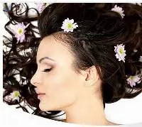 Natural Herbs For Hair Care Products