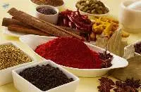Indian Spices