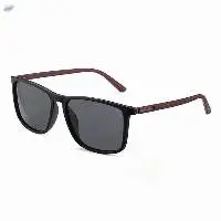 Polarized Rectangle Unisex Sunglasses - Pl400