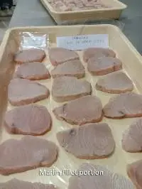 Marlin Fish (Istiompax Indica) Fillet