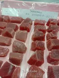 Tuna Cube