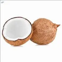 Fresh Coconut