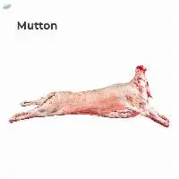 Mutton