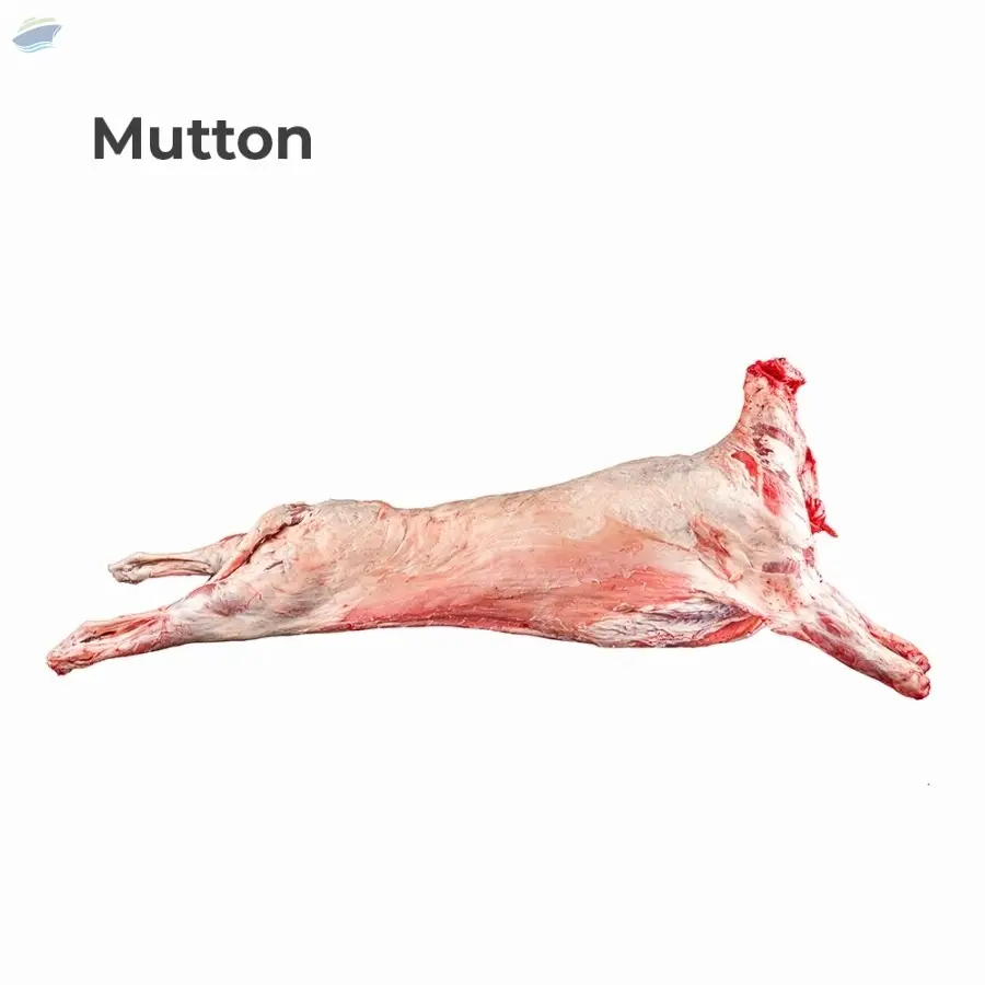 Mutton