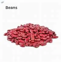 Beans