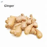 Ginger