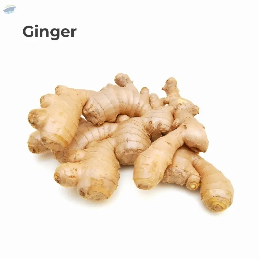Ginger