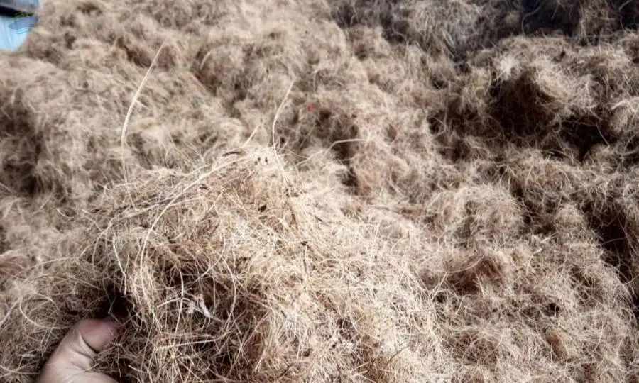 Coconut Fiber