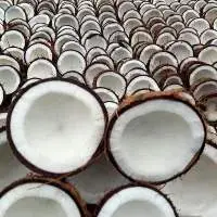 Coconut Copra Reguler