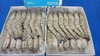 Frozen Black Tiger Shrimps
