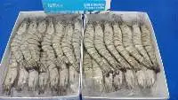 Frozen Black Tiger Shrimps