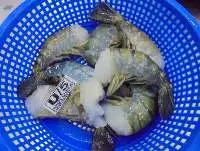 Freshwater King Prawn