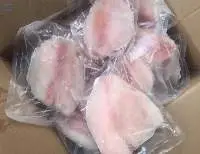 Frozen Tilapia Fillet