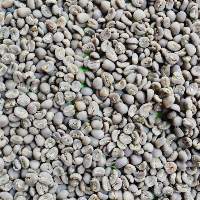 Arabica And Robusta Green Coffee Beans