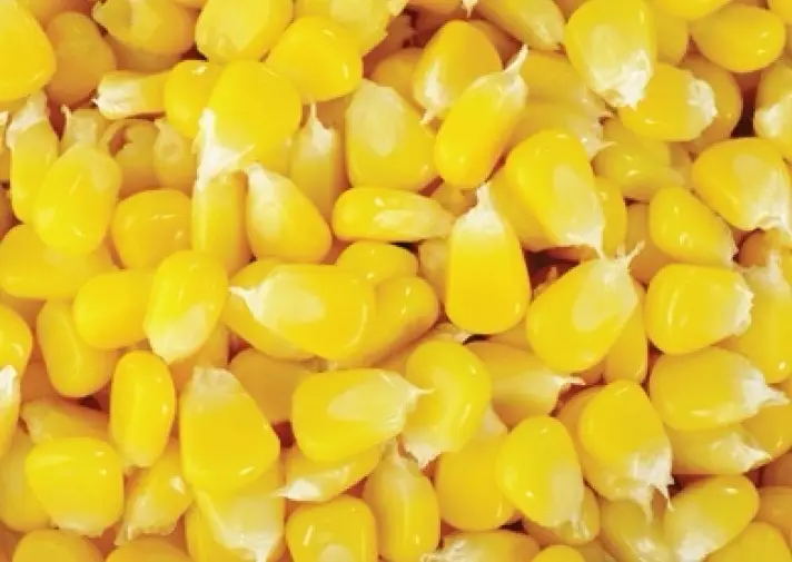 Frozen sweet corn