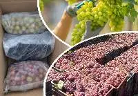 Frozen grapes