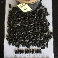 Black Sunflower Seeds Jumbo Black