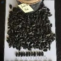 Black Sunflower Seeds Jumbo Black