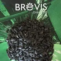 Black Sunflower Seeds For Human Consumption