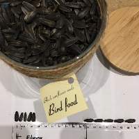Black Sunflower Seeds For Birds