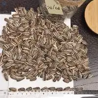 Striped Sunflower Seeds Dakota 24/64