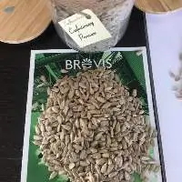 Sunflower Kernels Premium Confectionery Grade
