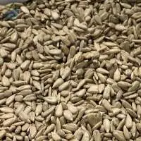 Sunflower Kernels Extra Premium Confectionery 