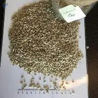 Broken Sunflower Kernels, Chips