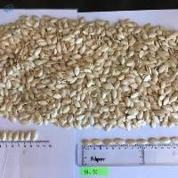 Pumpkin Seeds Shine Skin