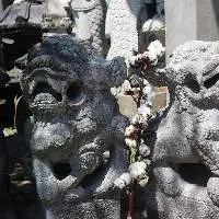 Foo Dog Decoration
