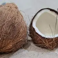 Semi Husked Coconut