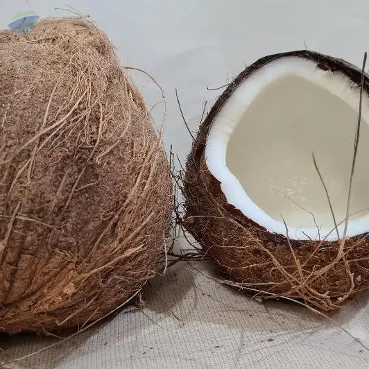 Semi Husked Coconut