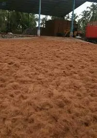 Coco Coir - Coco Fiber