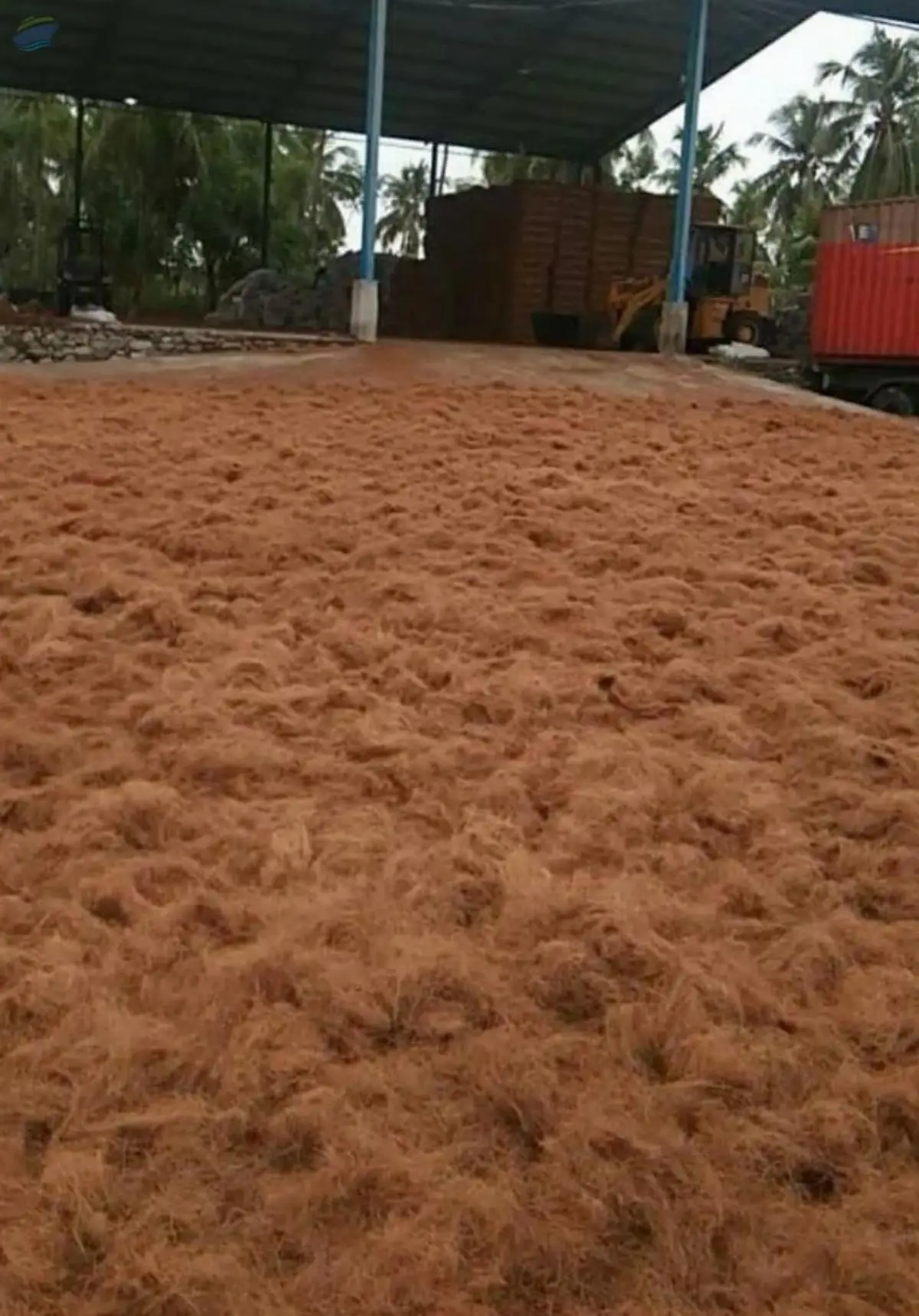 Coco Coir - Coco Fiber