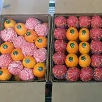 Fresh Valencia Orange