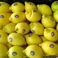 Fresh Lemons