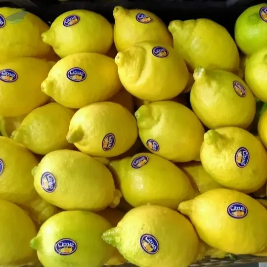 Fresh Lemons