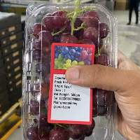 Fresh Grapes