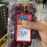 Fresh Grapes