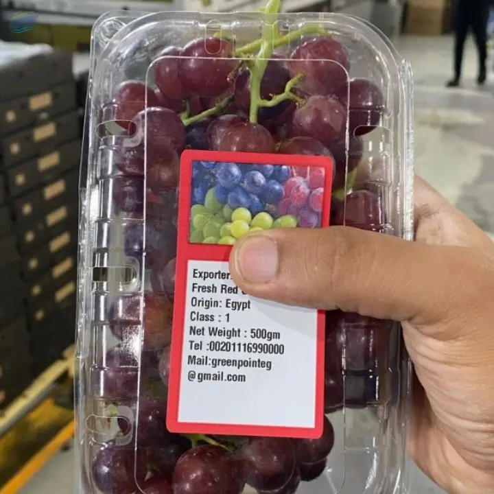 Fresh Grapes