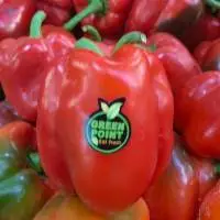 Fresh Pepper